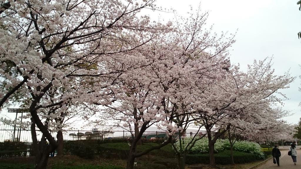 Abiko Guest House Matsubara المظهر الخارجي الصورة